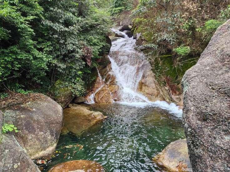 问止中医 | 杨康医师:治好老太太顽固的干性湿疹